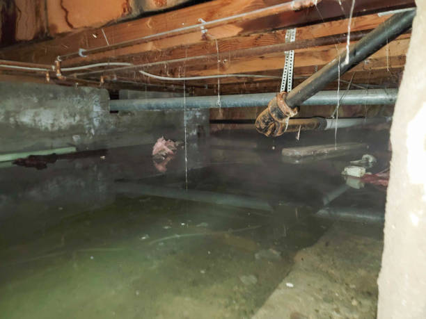 Best Flooded house restoration  in South Zanesville, OH