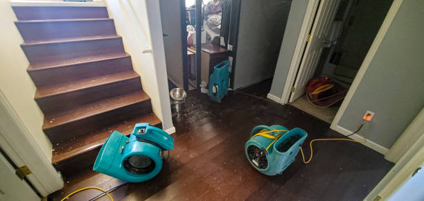 Best Carpet water damage restoration  in South Zanesville, OH