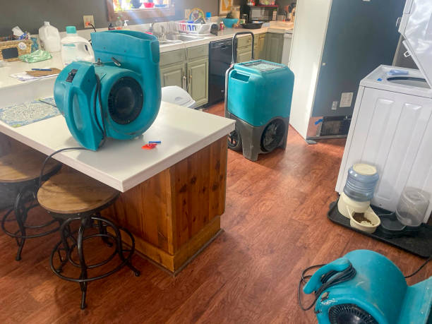 Best Local water damage restoration  in South Zanesville, OH
