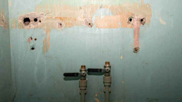 Reliable South Zanesville, OH Water damage restoration Solutions