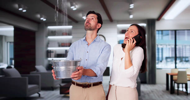 Best Flood damage cleanup  in South Zanesville, OH